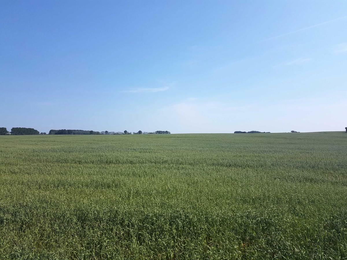 Doppelhaushaelfte Nordwind Vom Naturhof Usedom Bannemin Luaran gambar