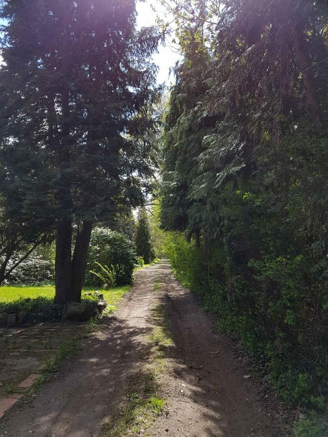 Doppelhaushaelfte Nordwind Vom Naturhof Usedom Bannemin Luaran gambar