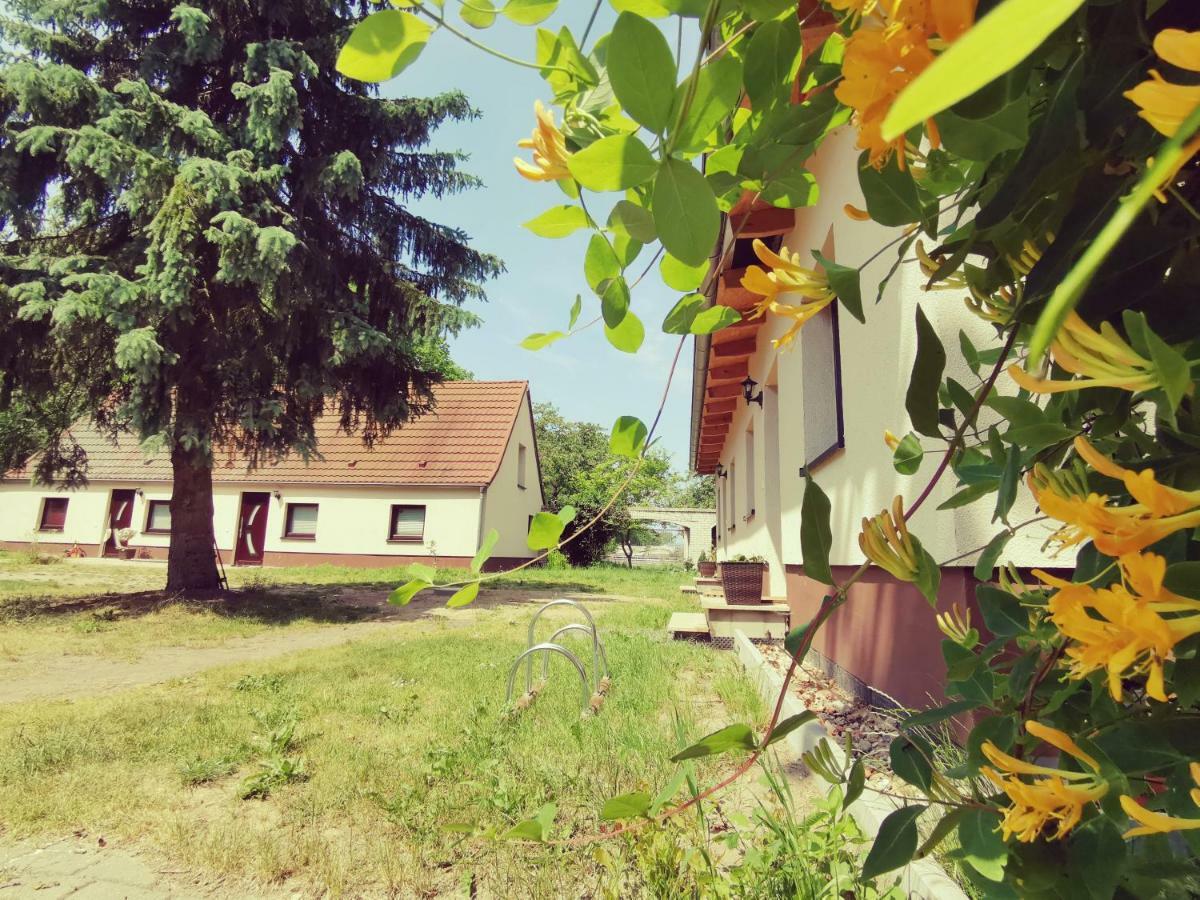 Doppelhaushaelfte Nordwind Vom Naturhof Usedom Bannemin Luaran gambar