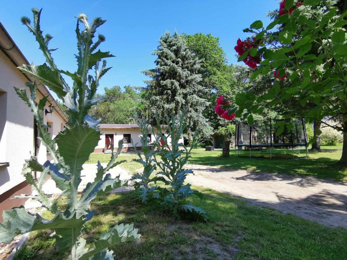 Doppelhaushaelfte Nordwind Vom Naturhof Usedom Bannemin Luaran gambar